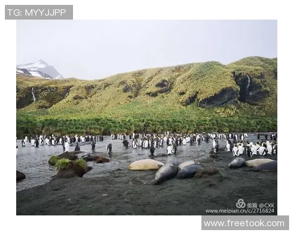 用橡皮泥创造属于你的足球明星形象与梦想之旅